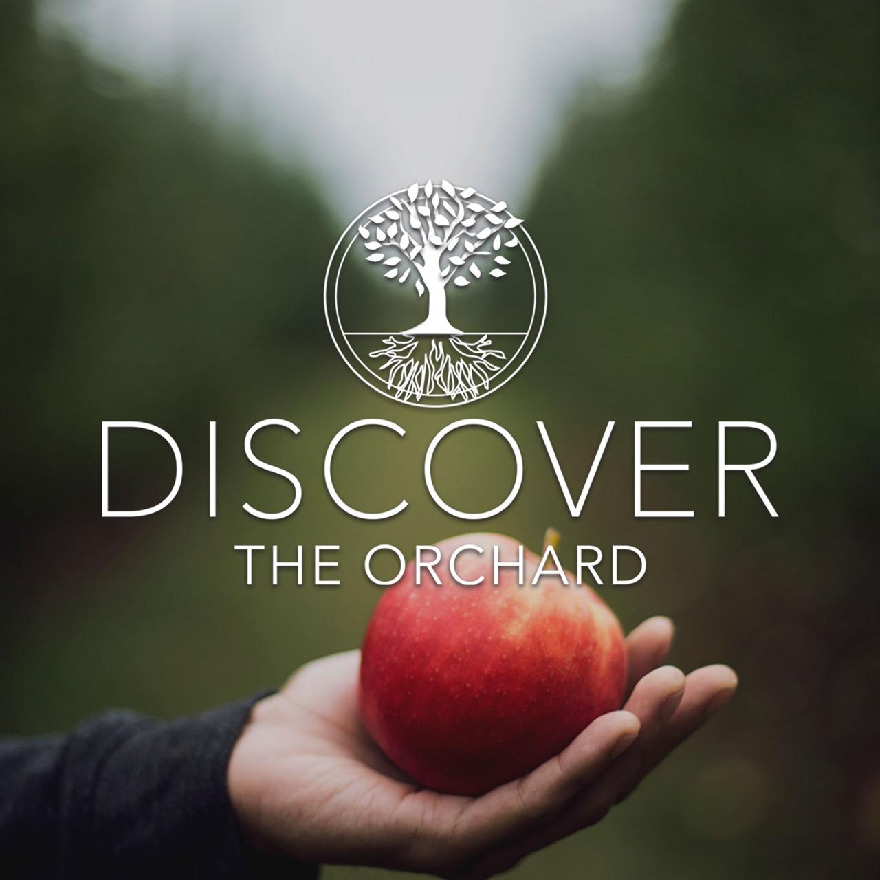 Discover The Orchard Class Logo